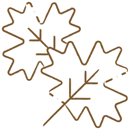 Illustration of a maple-leaf