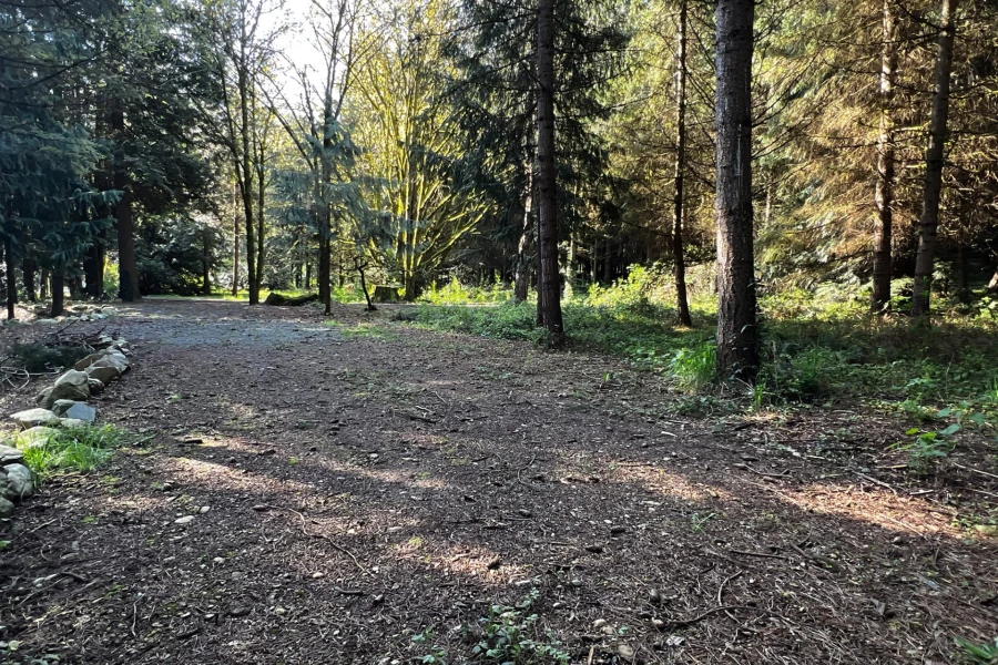 little apple wild site 01.