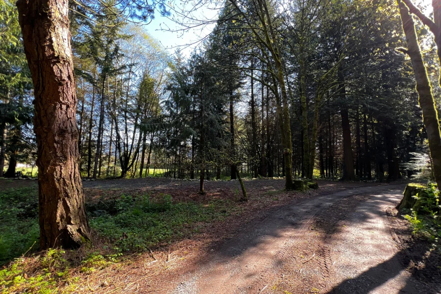 little apple wild site 02.