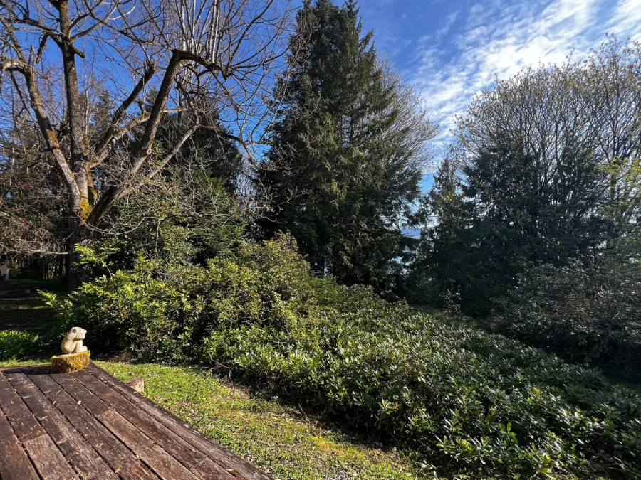 camas house cobble hill 03.